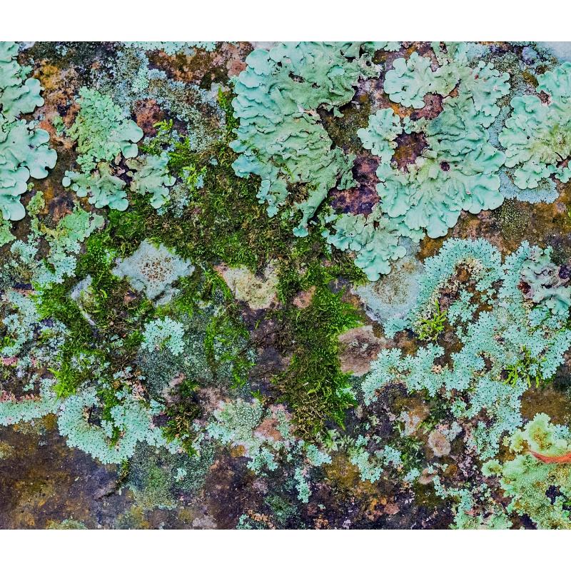 MINERALS