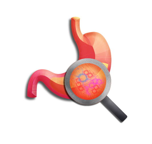 Vibrant Wellness: Gut Zoomer 3.0