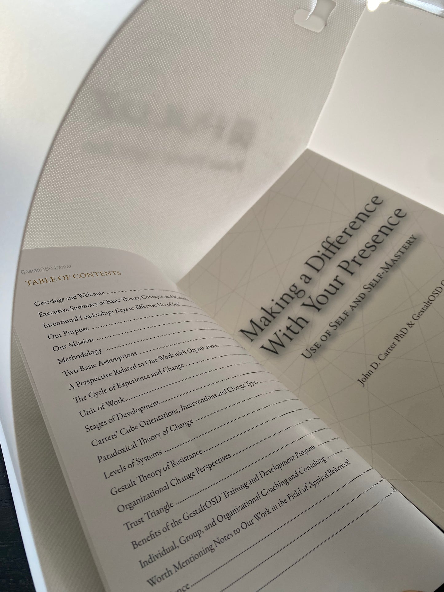 Making a Difference With Your Presence: Use of Self and Self-Mastery Hardcover – October 1, 2019