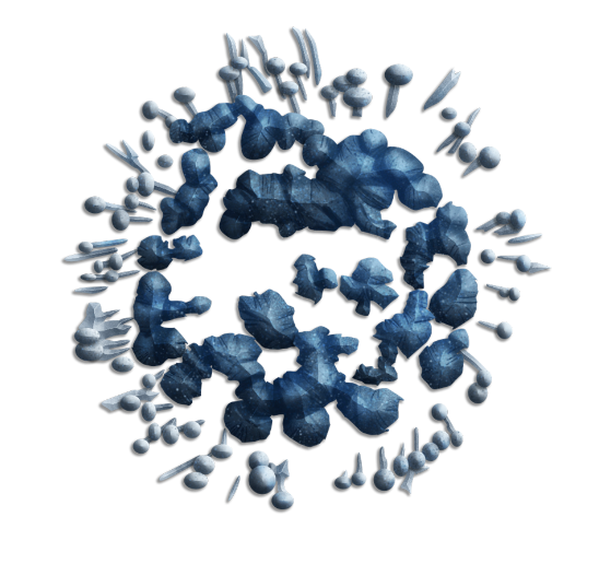 Vibrant Wellness: Mycotoxins Test
