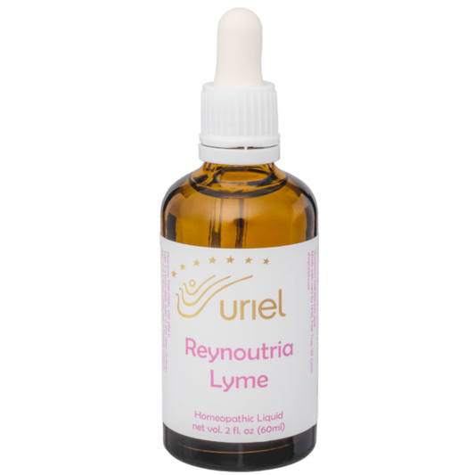 Reynoutria Lyme ~^