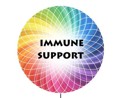 COMPREHENSIVE SURGICAL SUPPORT
