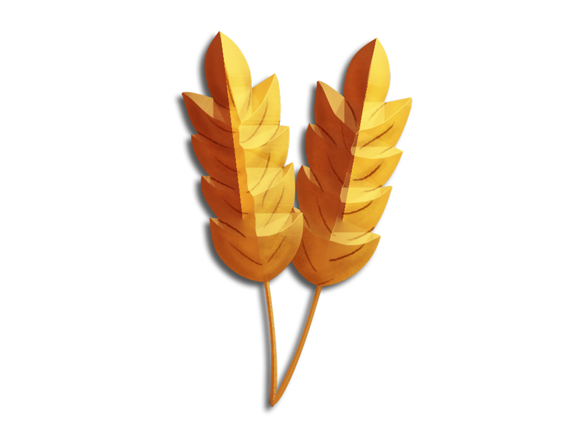 Vibrant Wellness: Wheat Zoomer & Intestinal Permeability Panel