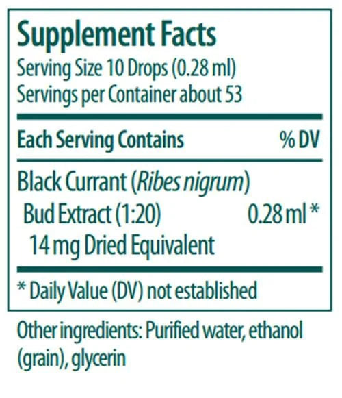 Black Currant Bud 15ml