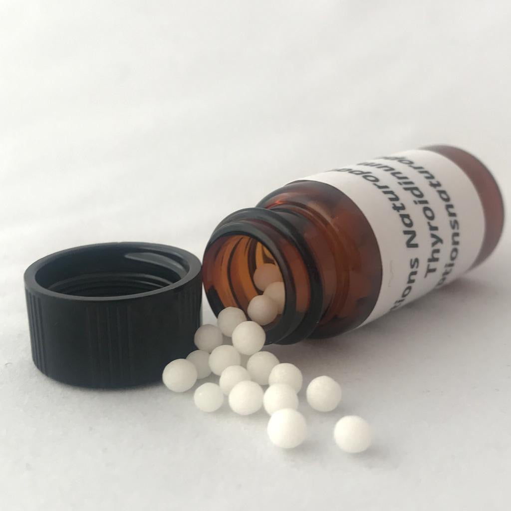 ANACARDIUM ORIENTALE