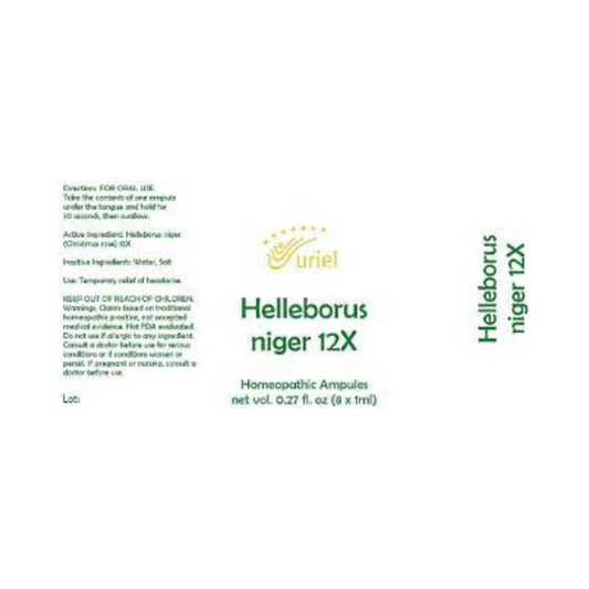Helleborus niger - 12X Ampules ~