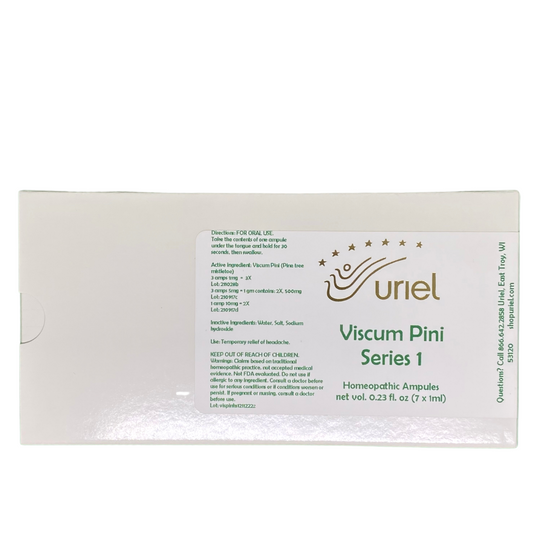 Viscum Pini Series 1 - 7 x 1ml Ampule (Green Box) ~